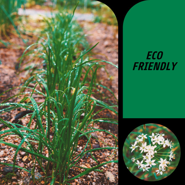 环保的海报图片下载