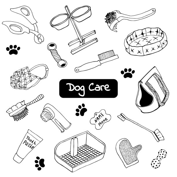 向量设置在涂鸦风格的狗护理项目。孤立的插图图片下载