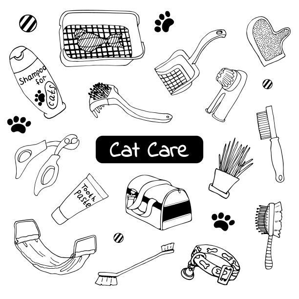 向量设置在涂鸦风格的猫护理项目。孤立的插图图片下载