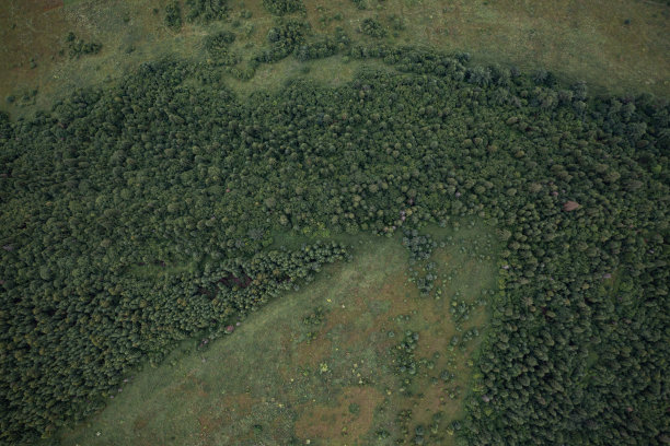 山路鸟瞰图图片下载