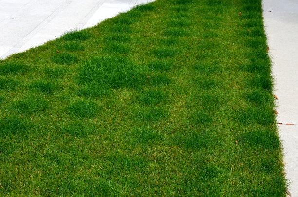 草坪下面的地下滴水管。水流出来的地方，草坪在规则的网格中变得更长、更绿图片下载