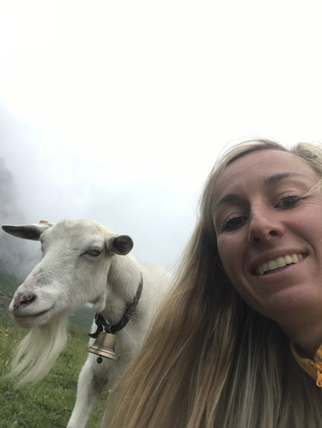 一名女子与一只山羊自拍图片下载