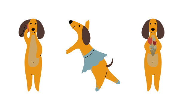 滑稽的棕色腊肠狗跳芭蕾舞说话图片下载