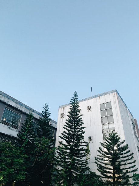 建设和Cemara图片下载