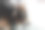 一个村子里的公牛形象图片下载