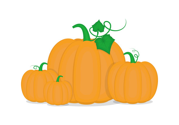 秋天南瓜的收获图片下载