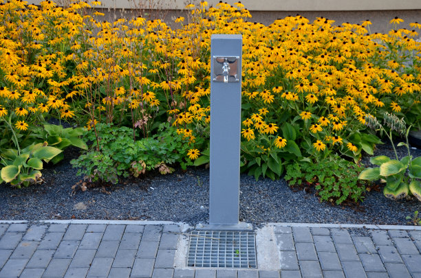 乡村广场，黄色的多年生植物在花坛上开花，沿着带肋的垂直木板的栅栏。长椅和带水龙头的喷泉供人们饮用图片下载