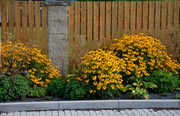 乡村广场，黄色的多年生植物在花坛上开花，沿着带肋的垂直木板的栅栏。长椅和带水龙头的喷泉供人们饮用图片下载
