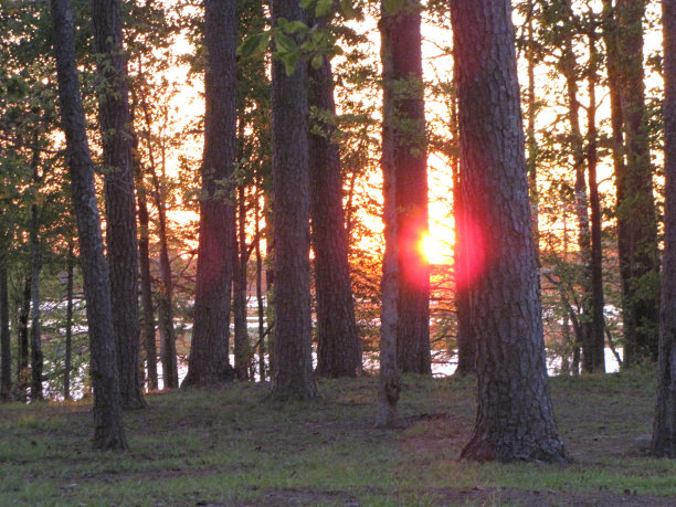 在户外图片下载