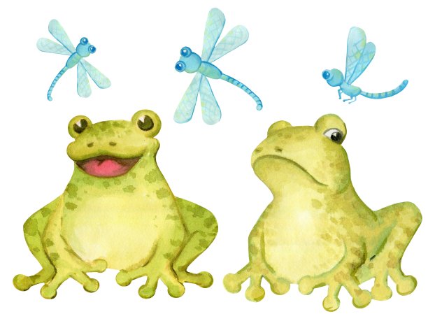 两只不同性格的可爱青蛙和精致的蓝色蜻蜓图片下载