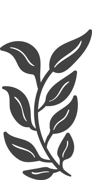 小麦图标设计模板孤立图片下载