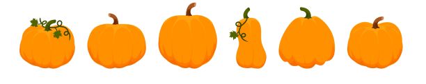 南瓜套装6件。万圣节。矢量插图在一个平坦的风格。图片下载