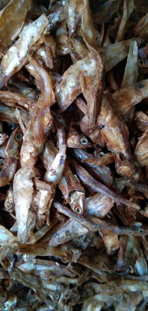 干鱼不耐吃食物图片下载