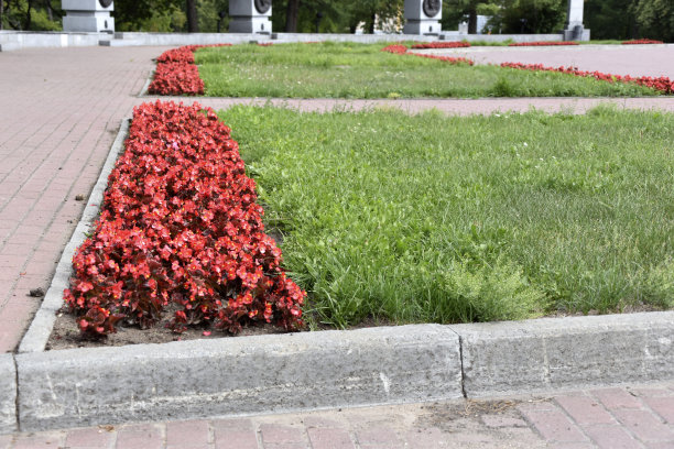 纪念公园夏天的花坛图片下载