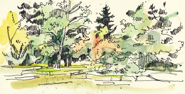 夏天的风景图片下载