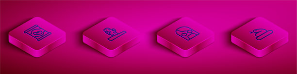 设置等距线豆墨西哥仙人掌罐头图片下载