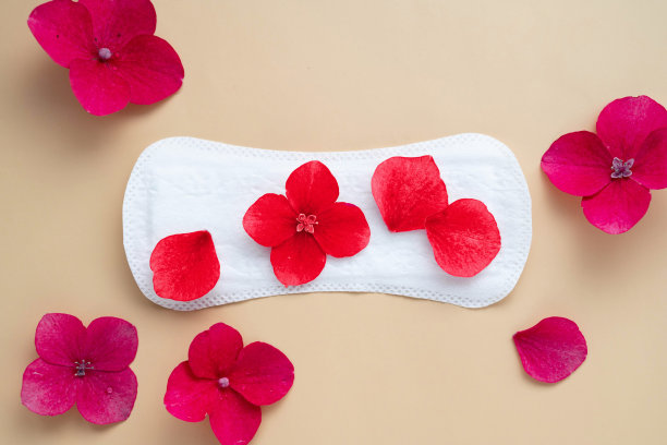 红色花朵的女性卫生巾。妇女经期与妇女健康的社会观念。图片下载