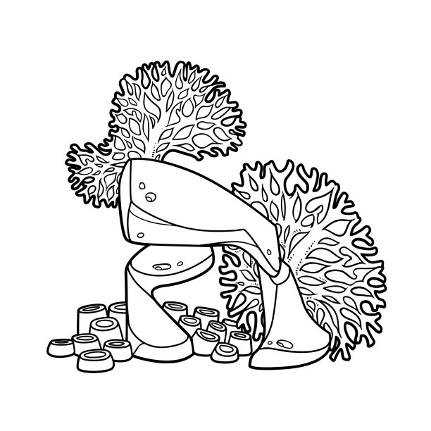 珊瑚虫生长在石头上，呈线形着色图片下载