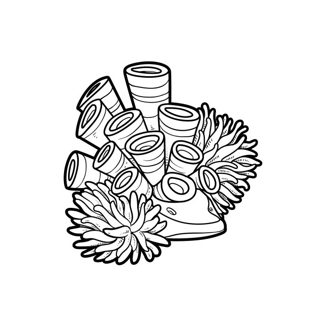 石头上长着海葵的高大海绵图片下载