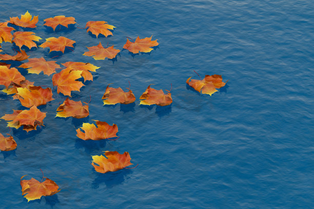 树叶在海上，秋天的背景图片下载