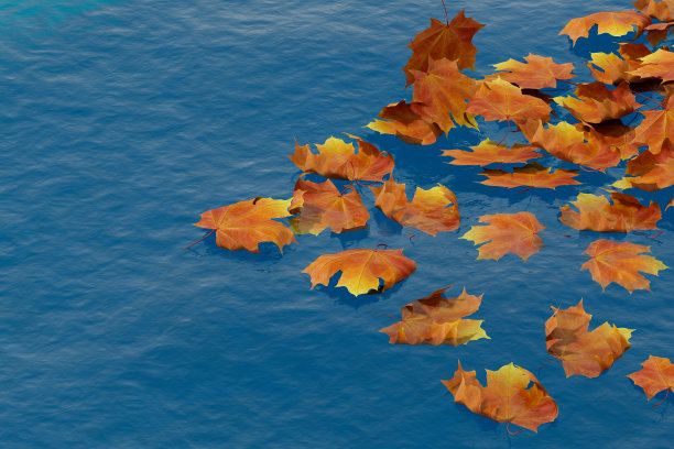 树叶在海上，秋天的背景图片下载