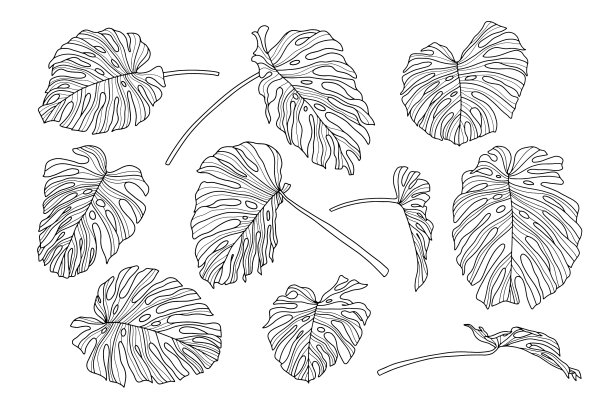 集怪兽叶线艺术设计手图片下载