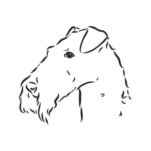 Airedale梗狗手画图片下载