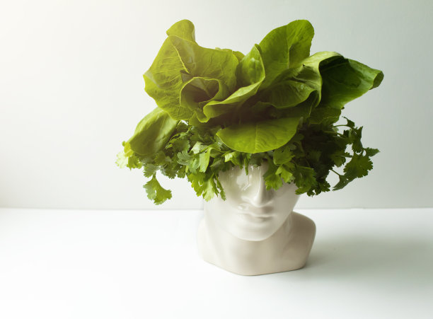 头形花瓶，里面有生菜和欧芹。健康饮食和健康思维的概念。素食食品的概念。图片下载