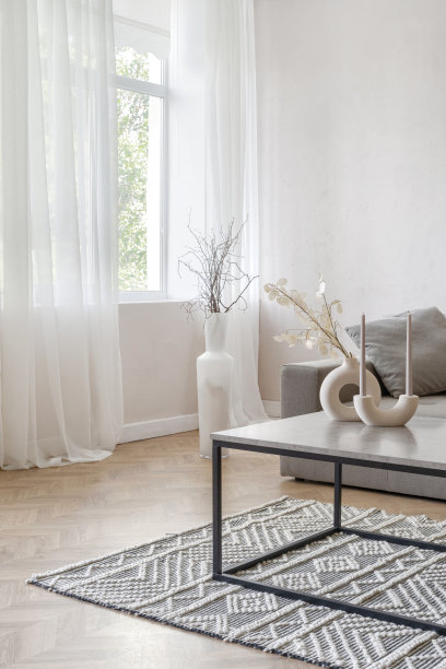 房间内设沙发，现代公寓设计。图片下载