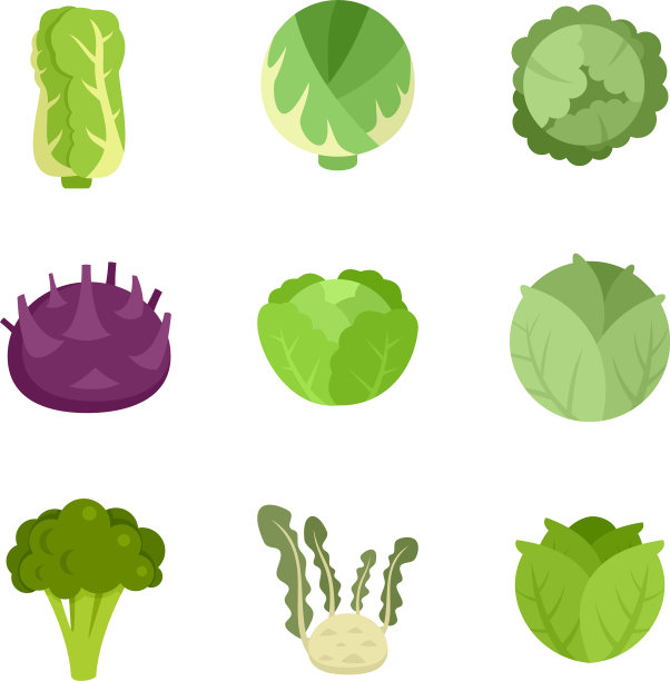 白菜图标设平孤立图片下载