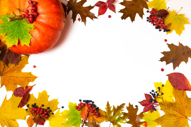 这是一个由秋天黄色和棕色的枫树叶和橡树叶做成的椭圆形框架，用红色的花楸树、蓝色的野葡萄浆果和漂亮的橙色南瓜装饰。图片下载