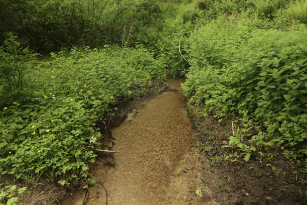 在南康沃尔闲逛图片下载