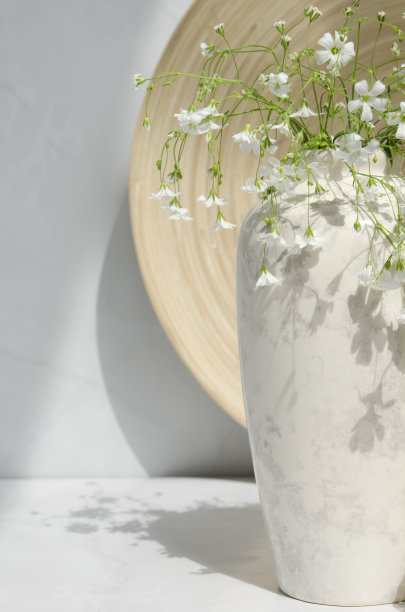 首页décor模型设计。图片下载