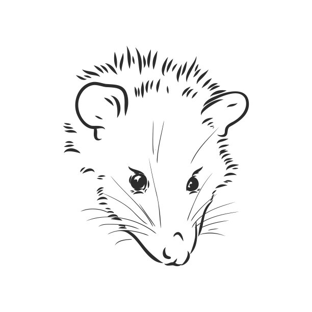 画负鼠的嘴巴图片下载