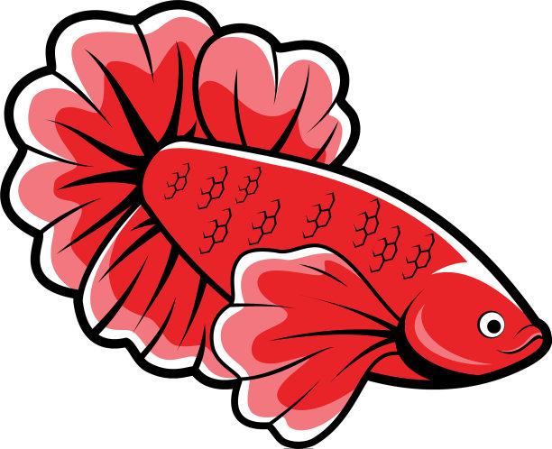 斗鱼红色，颜色漂亮图片下载