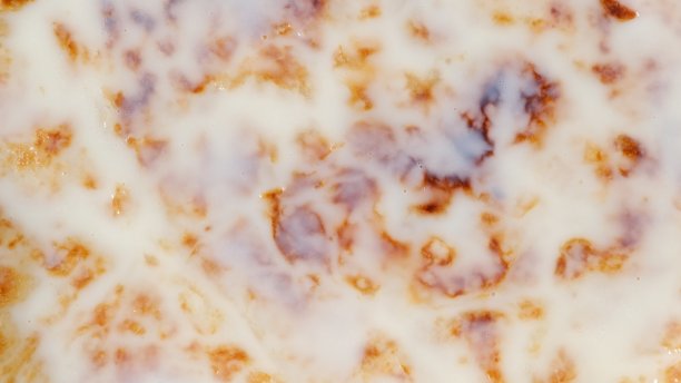 Chapati是一种被称为roti的薄煎饼图片下载