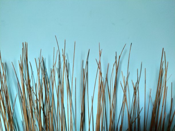 扫帚棍的顶端图片下载