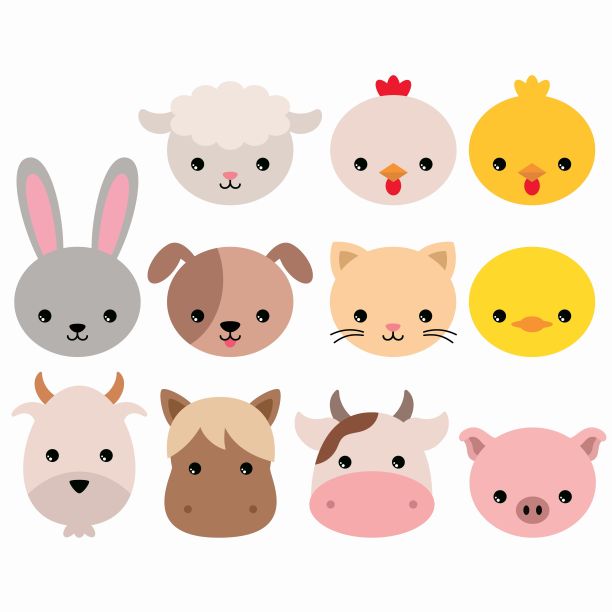 一组农场动物的脸。图片下载