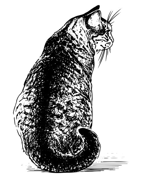 徒手画的坐和看家猫图片下载