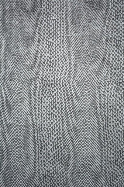 蛇的皮肤纹理。灰色蛇皮花纹。图片下载