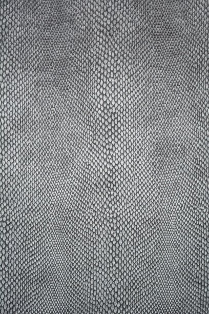 蛇的皮肤纹理。灰色蛇皮花纹。图片下载