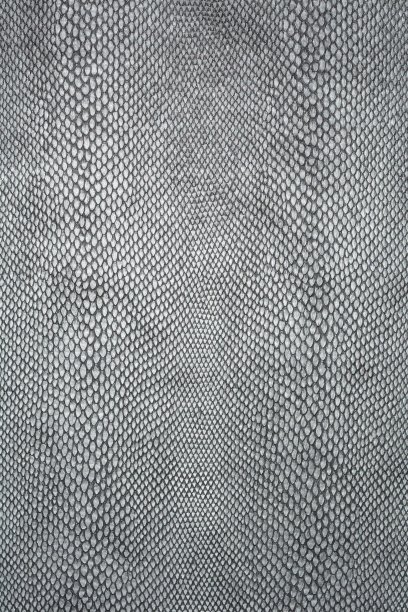 蛇的皮肤纹理。灰色蛇皮花纹。图片下载