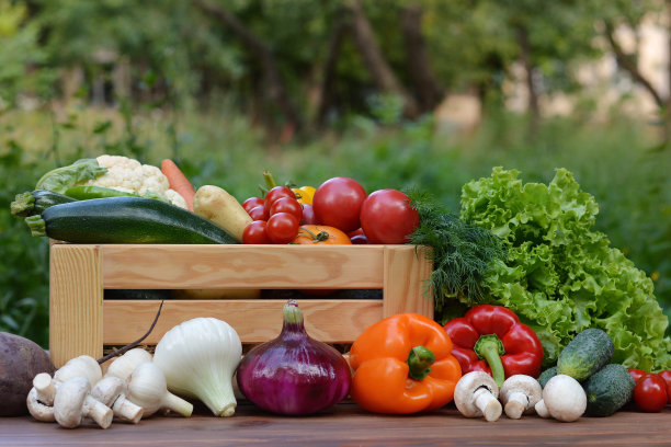 新鲜的有机蔬菜装在一个木盒子里，放在蔬菜园背景的木桌上。生物概念，生物产品，生物生态学，园艺，健康食品，素食主义。图片下载