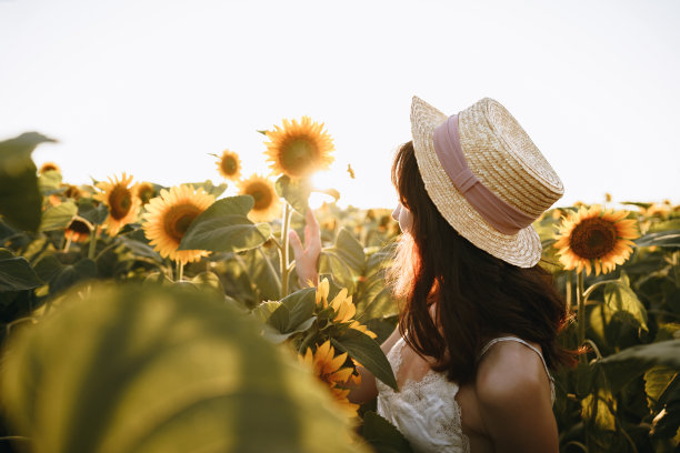 一个年轻女子在向日葵地里散步图片下载