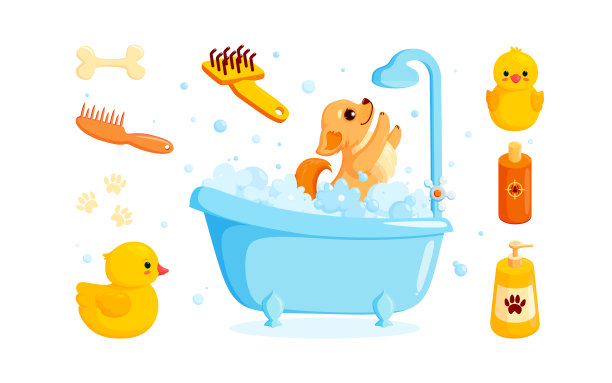 狗狗洗澡用宠物洗发水梳和图片下载
