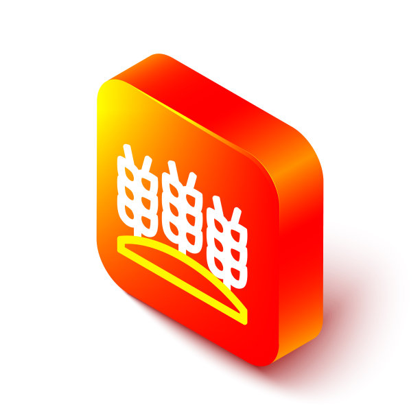 等距线谷物与水稻，小麦，玉米图片下载