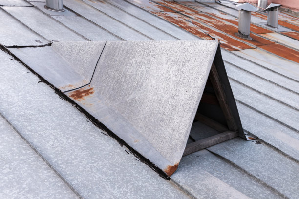 金属屋顶上的阁楼窗户图片下载