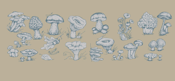 蘑菇图形手绘打印纺织品图片下载