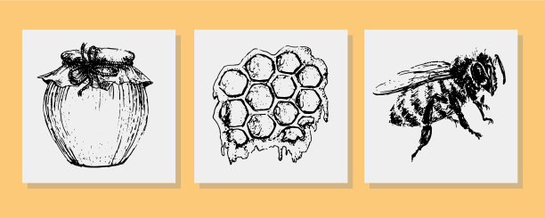 蜂蜜集复古手绘雕刻有机图片下载