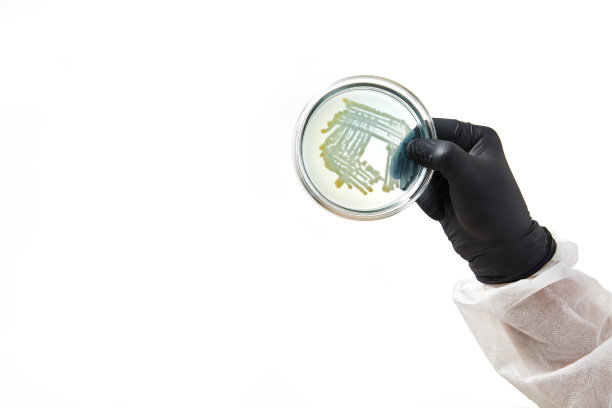 化验师在实验室戴手套。用玻璃板和样品进行测试。病毒和保健概念图片下载